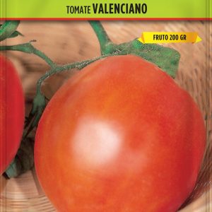 Tomate Valenciano