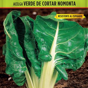 Acelga Verde de Cortar No Monta