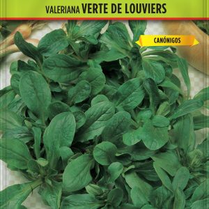 Valeriana Verte de Louviers