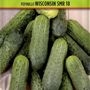 Pepinillo Wisconsin SMR 18
