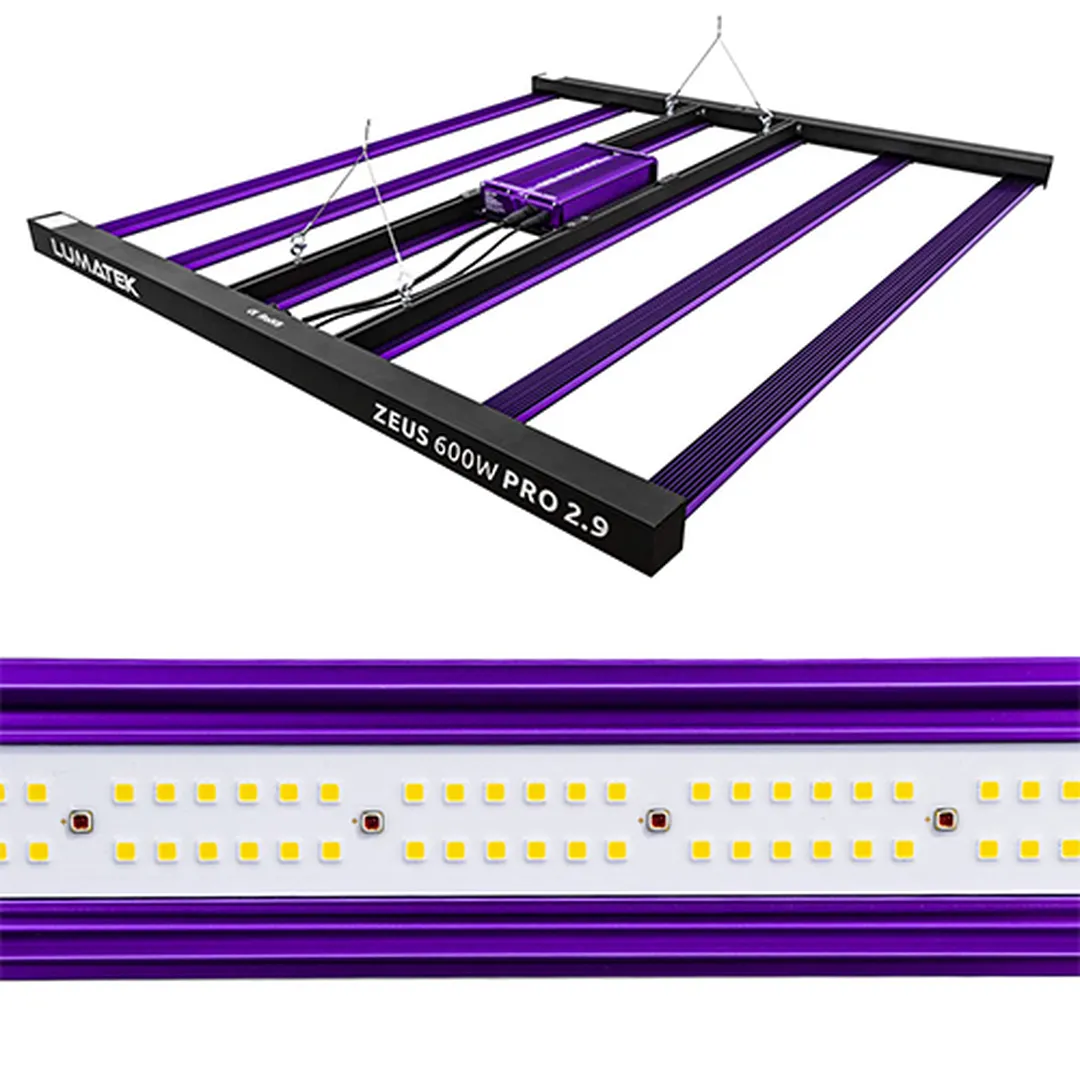 Zeus 600W Pro LED 2.9 Lumatek vista 2